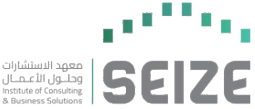 SEIZE — Institute of Consulting & Business Solutions